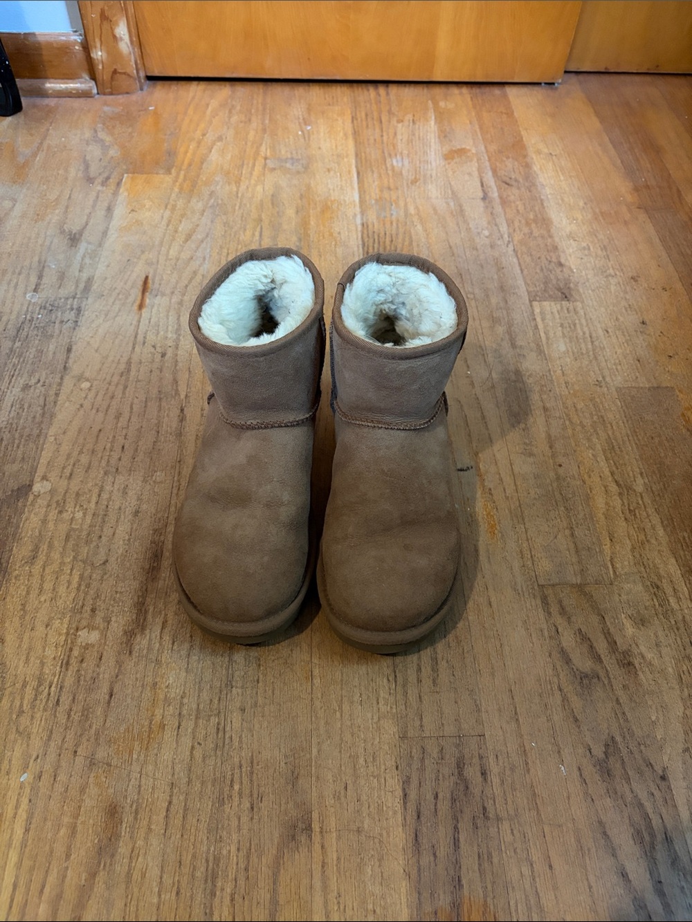 Women Ugg boots